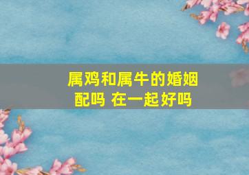 属鸡和属牛的婚姻配吗 在一起好吗